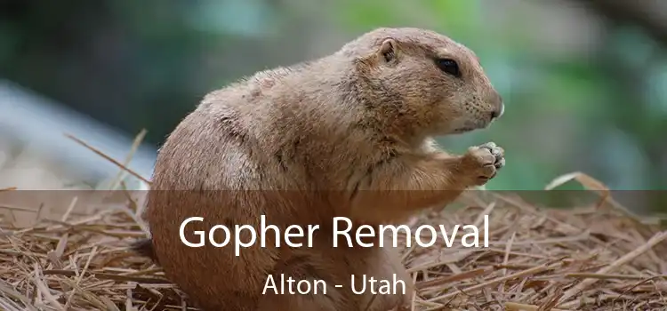 Gopher Removal Alton - Utah