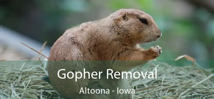 Gopher Removal Altoona - Iowa