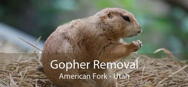 Gopher Removal American Fork - Utah