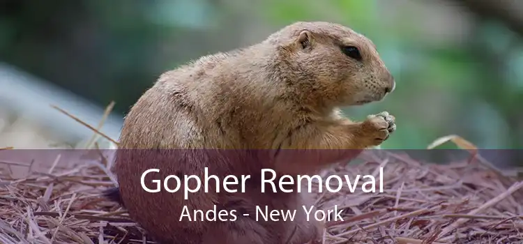 Gopher Removal Andes - New York