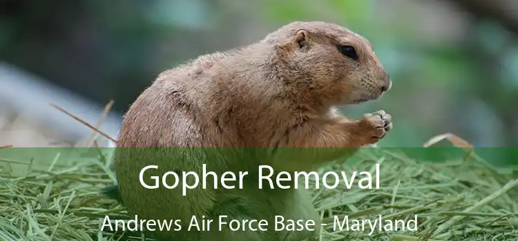 Gopher Removal Andrews Air Force Base - Maryland