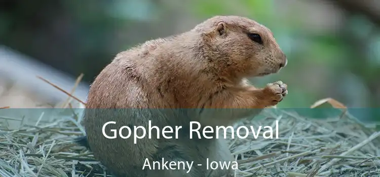 Gopher Removal Ankeny - Iowa