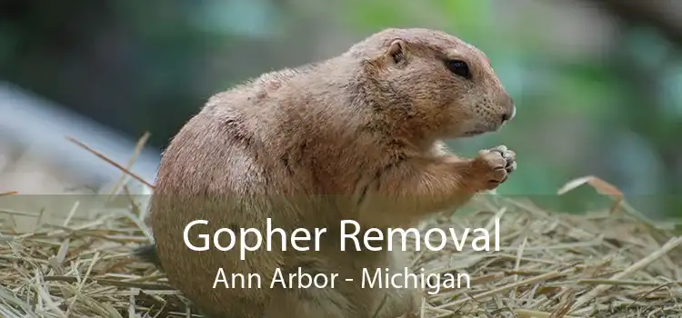 Gopher Removal Ann Arbor - Michigan