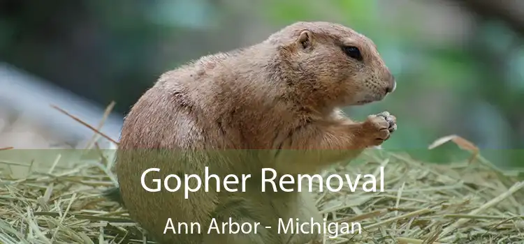 Gopher Removal Ann Arbor - Michigan