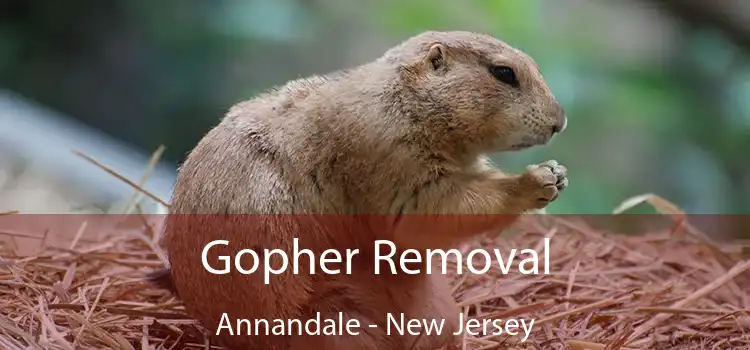 Gopher Removal Annandale - New Jersey