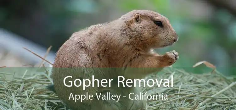 Gopher Removal Apple Valley - California