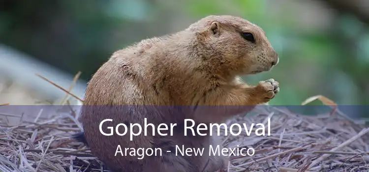 Gopher Removal Aragon - New Mexico