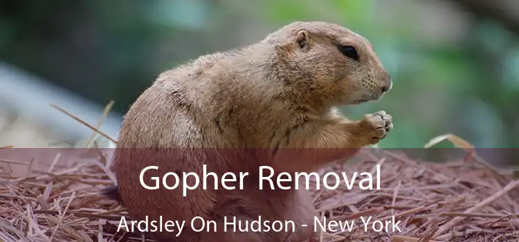 Gopher Removal Ardsley On Hudson - New York