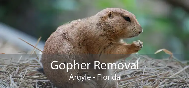 Gopher Removal Argyle - Florida