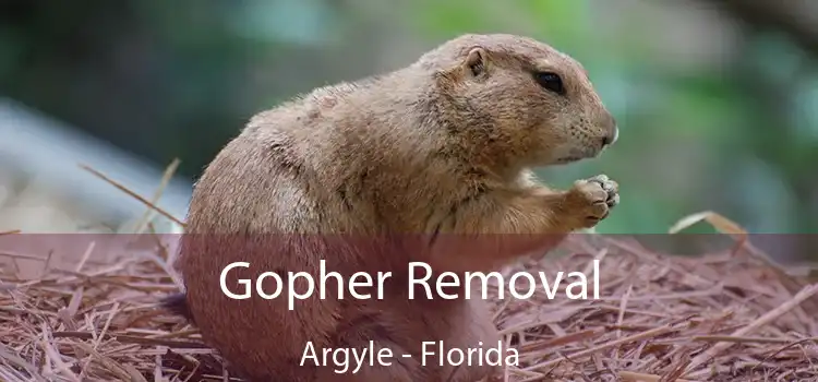 Gopher Removal Argyle - Florida