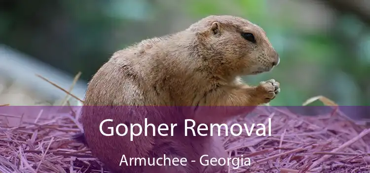 Gopher Removal Armuchee - Georgia