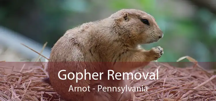 Gopher Removal Arnot - Pennsylvania
