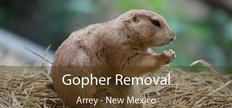 Gopher Removal Arrey - New Mexico