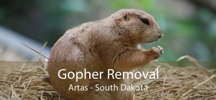Gopher Removal Artas - South Dakota