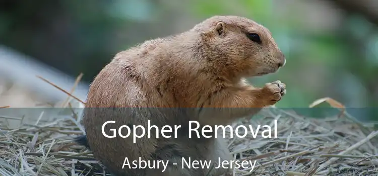 Gopher Removal Asbury - New Jersey