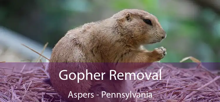 Gopher Removal Aspers - Pennsylvania