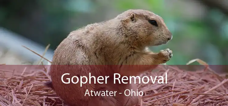 Gopher Removal Atwater - Ohio