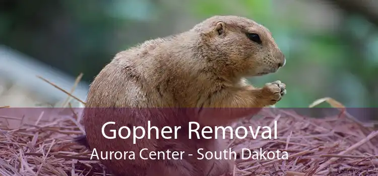 Gopher Removal Aurora Center - South Dakota