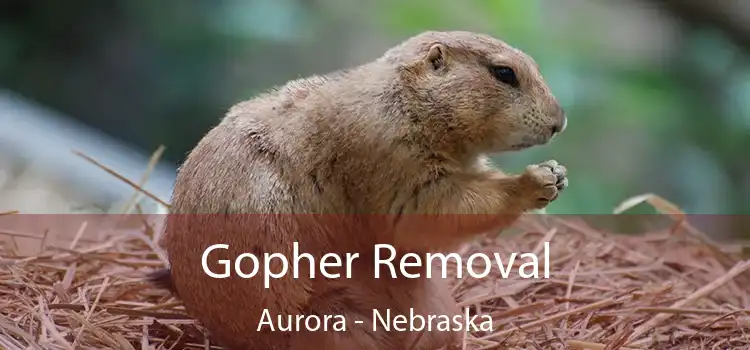 Gopher Removal Aurora - Nebraska