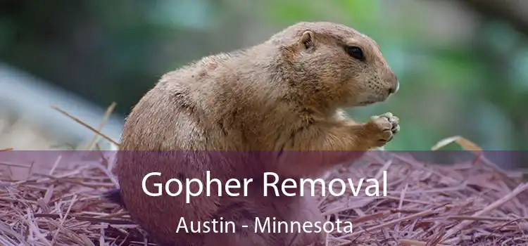 Gopher Removal Austin - Minnesota