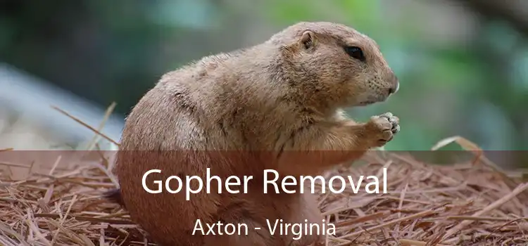 Gopher Removal Axton - Virginia