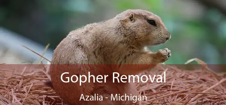 Gopher Removal Azalia - Michigan