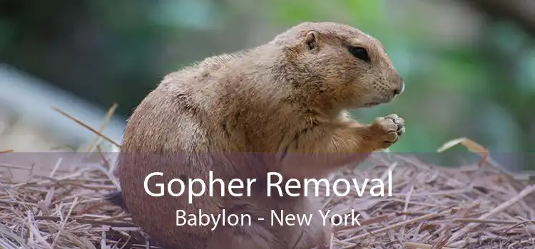 Gopher Removal Babylon - New York