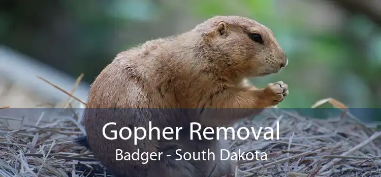 Gopher Removal Badger - South Dakota