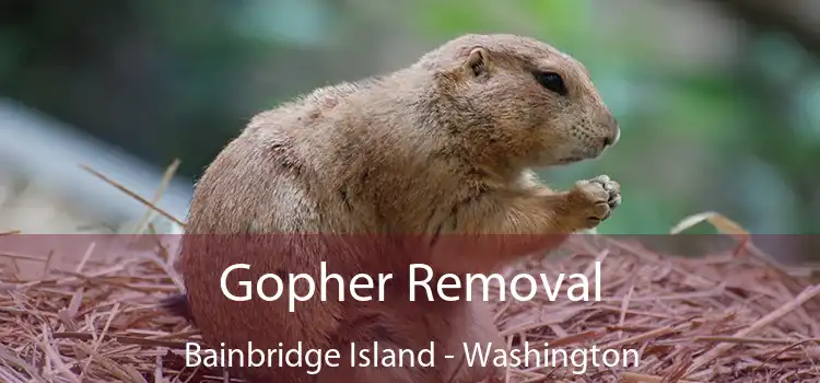 Gopher Removal Bainbridge Island - Washington