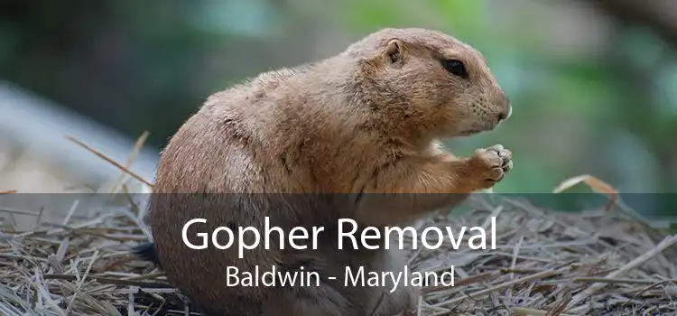 Gopher Removal Baldwin - Maryland