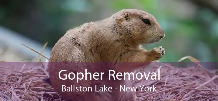 Gopher Removal Ballston Lake - New York