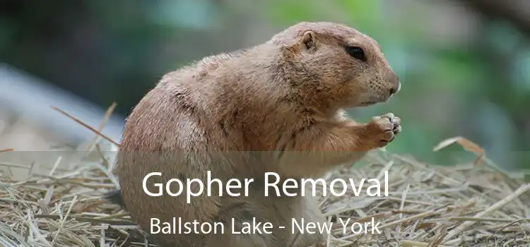 Gopher Removal Ballston Lake - New York