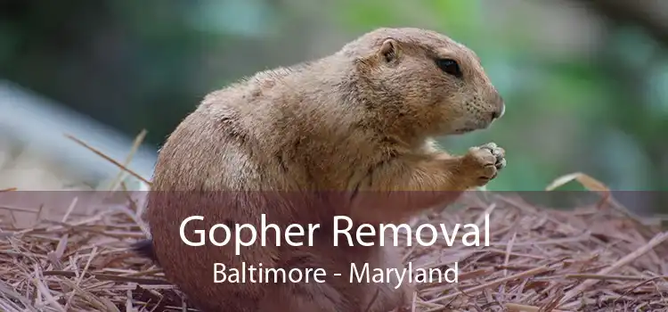 Gopher Removal Baltimore - Maryland