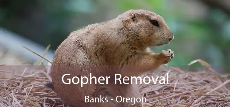 Gopher Removal Banks - Oregon