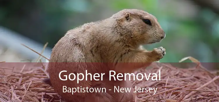 Gopher Removal Baptistown - New Jersey