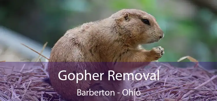 Gopher Removal Barberton - Ohio