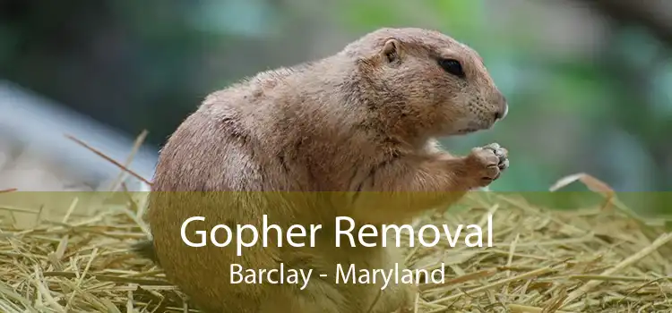 Gopher Removal Barclay - Maryland