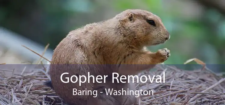 Gopher Removal Baring - Washington