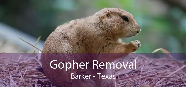 Gopher Removal Barker - Texas