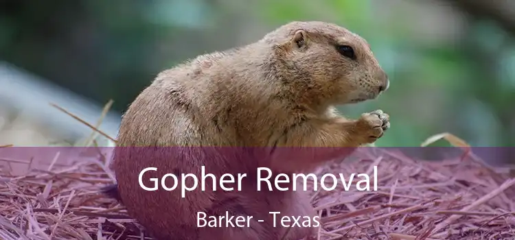 Gopher Removal Barker - Texas