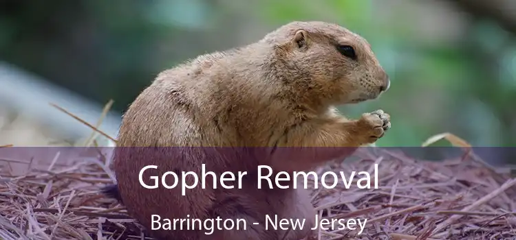 Gopher Removal Barrington - New Jersey