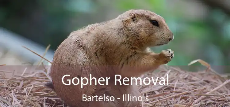 Gopher Removal Bartelso - Illinois