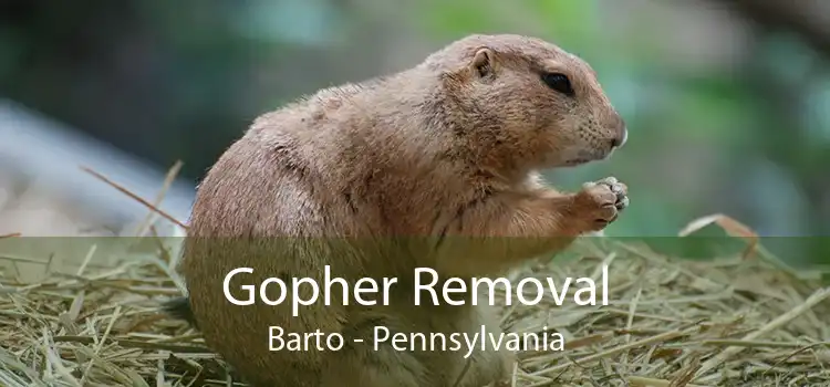 Gopher Removal Barto - Pennsylvania