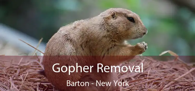 Gopher Removal Barton - New York