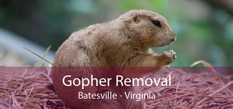 Gopher Removal Batesville - Virginia