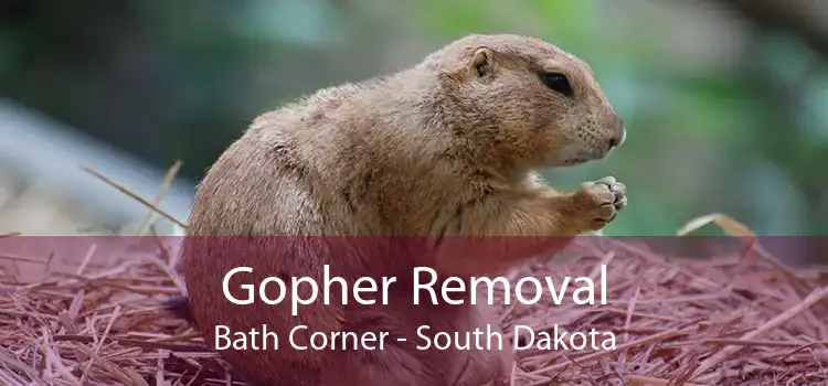 Gopher Removal Bath Corner - South Dakota