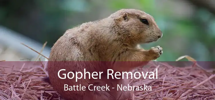 Gopher Removal Battle Creek - Nebraska