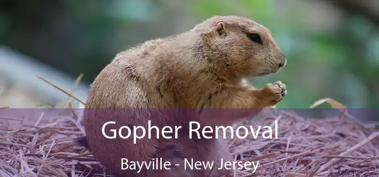 Gopher Removal Bayville - New Jersey