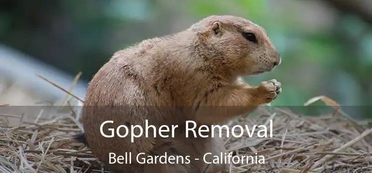 Gopher Removal Bell Gardens - California