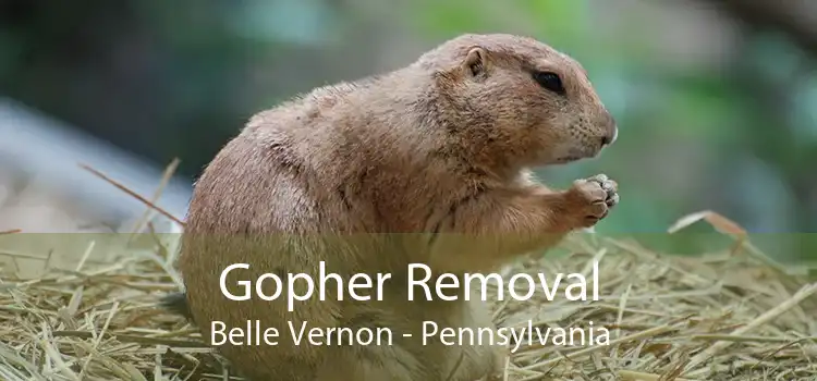 Gopher Removal Belle Vernon - Pennsylvania